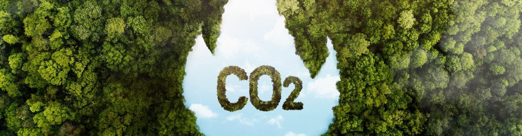 dovidnik_co2_vikidi